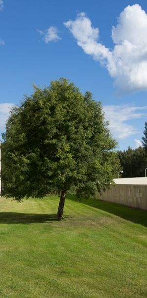 Orkestervägen, Skellefteå - Photo 1