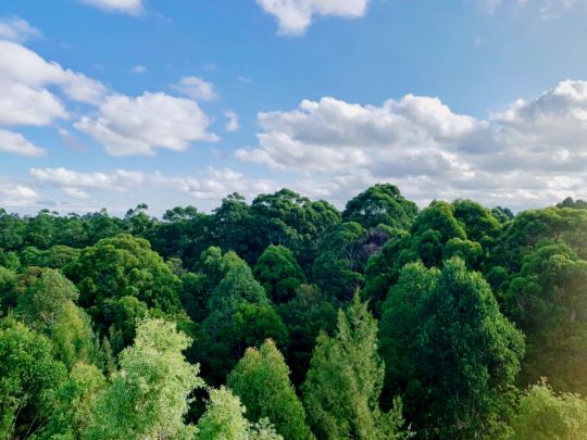 441/9 Epping Park Drive,Epping,New South Wales 2121, Sydney - Photo 1