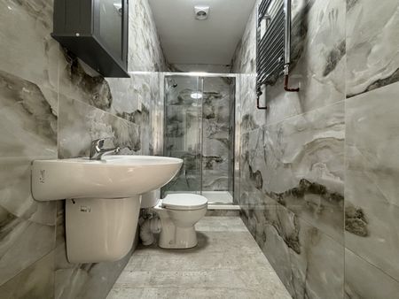 Richards Street, Cathays - Photo 4