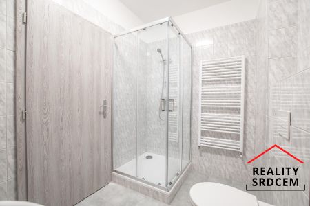 Pronájem bytu 1+kk a garsoniéry 24 m² - Fotografie 4