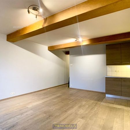 Te huur, instapklaar appartement op de top van het Kluisbos - Photo 3