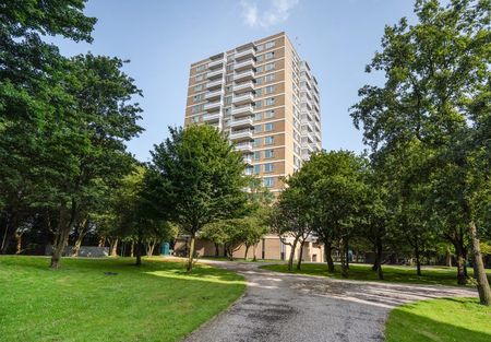 Staalmeesterslaan 217 - Photo 5