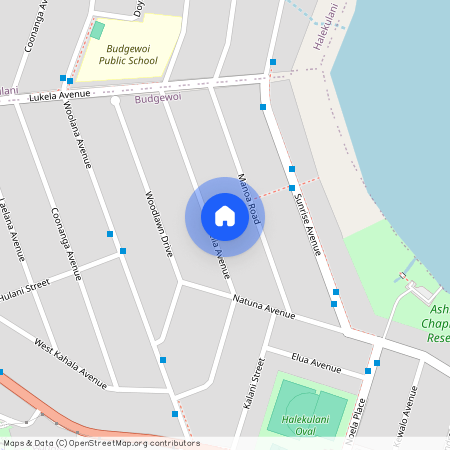 45 Delia Avenue, NSW 2262, Budgewoi