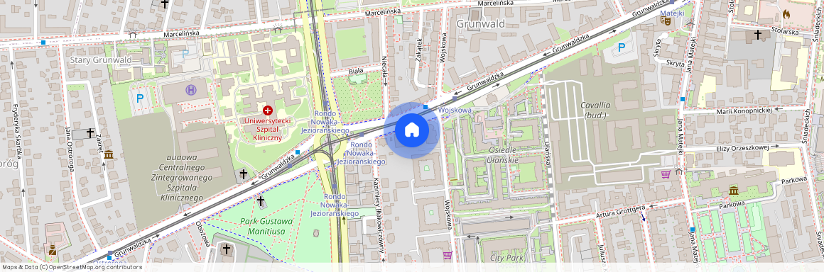 ul. Grunwaldzka 38, Grunwald, Grunwald, Poznań, wielkopolskie