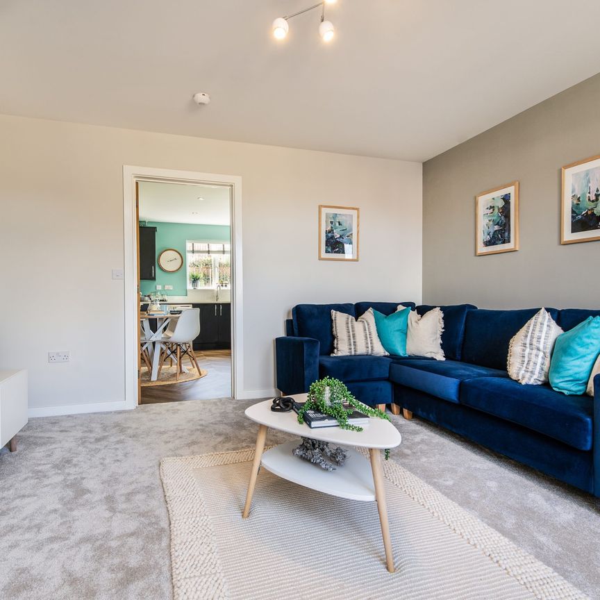 The Darwin - Photo 1