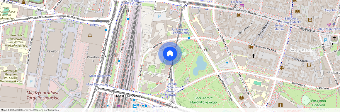 ul. Towarowa 45, Centrum, Stare Miasto, Poznań, wielkopolskie