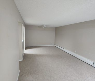 🏡 Spacious 2-Bedroom - Photo 1