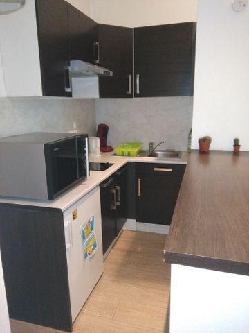 Location Appartement 1 pièce 26m² - Photo 4