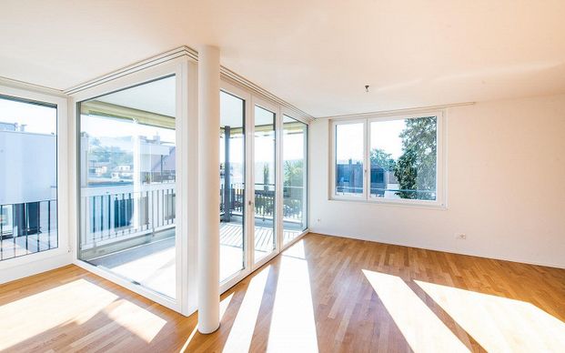 Moderne 4.5-Zimmer-Attika-Wohnung mit grosser Dachterrasse - Photo 1