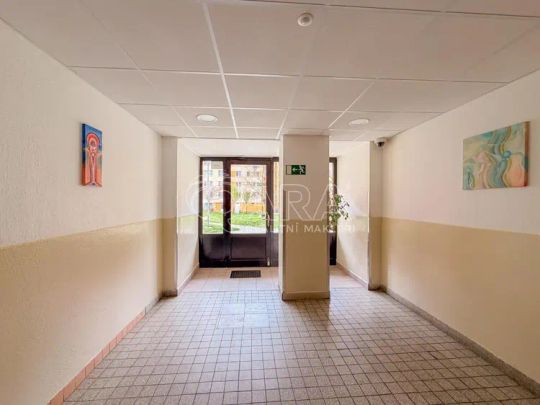 K PRONÁJMU - příjemný světlý byt 2+kk (42 m - Fotografie 1
