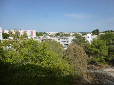 Location appartement 3 pièces 62.88 m² à Montpellier (34000) - Photo 2