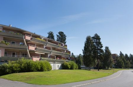 Löftesgränd, Skellefteå - Foto 4