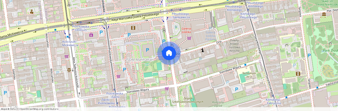 ul. Henryka Sienkiewicza 115, Centrum, Śródmieście, Łódź, łódzkie