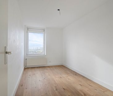 Hermelijnvlinder 49, Vlindertuin, 1113LC, Diemen - Photo 4