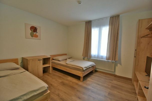 Furnished studios for short or long term rentals! - Photo 1