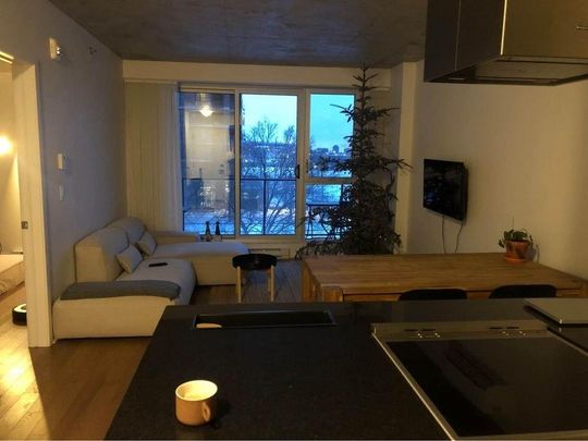 Appartement à louer - Montréal (Le Sud-Ouest) (Griffintown) - Photo 1