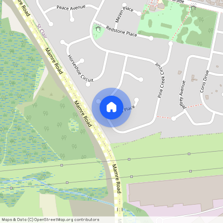 93 Pinecreek Circuit, St Clair 2759, New South Wales