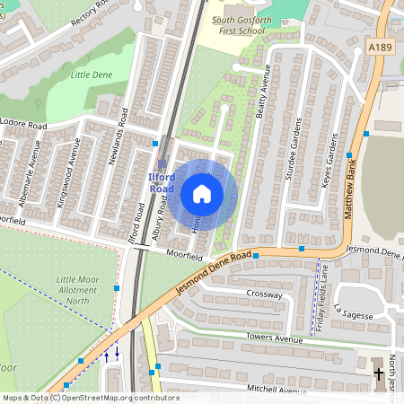 (?ppw) Honister Avenue, Jesmond, Newcastle Upon Tyne, NE2