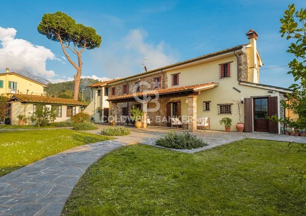 viale apua, Pietrasanta, Tuscany 55045