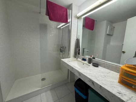 Location Appartement 1 pièce 19m² NANTES 44200 - Photo 5