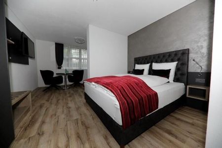 1-ROOM APARTMENT IN REICHENBURG (SZ), FURNISHED - Photo 2