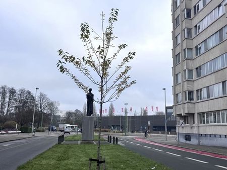 Appartement te huur - Photo 4