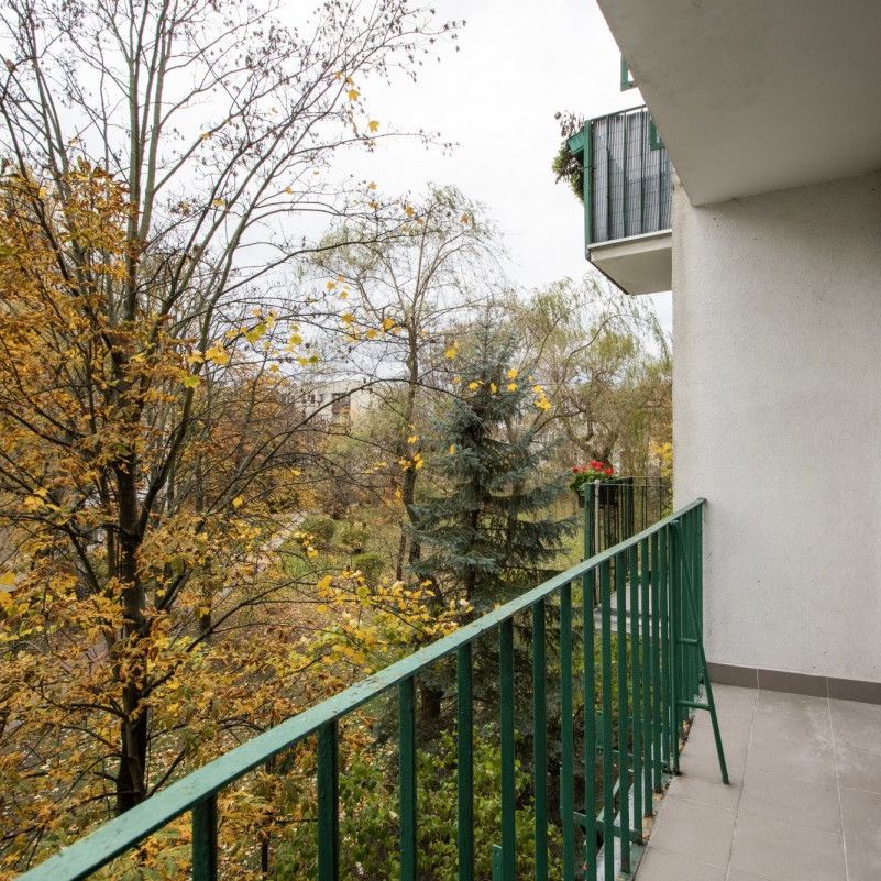 TAK dla ZWIERZĄT, 3 oddzielne pok, widna kuchnia - Zdjęcie 1