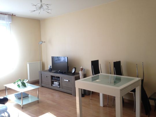 Location Appartement 1 pièce 42m² - Photo 1