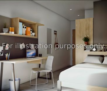Standard Studio - Photo 1