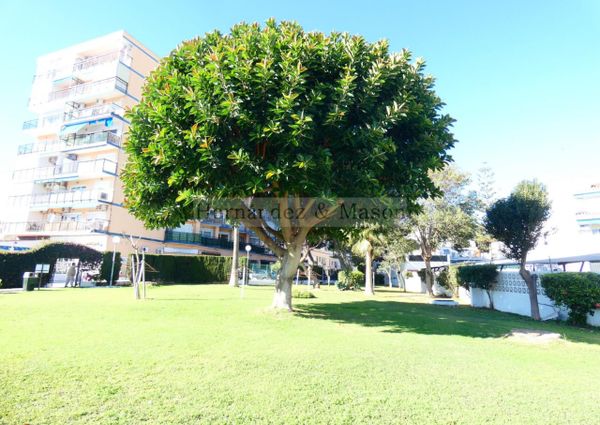 Apartamento en alquiler en Puerto Marina