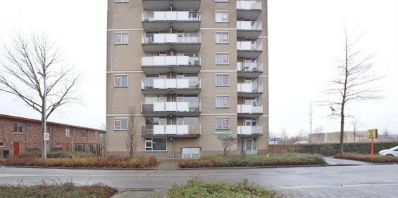 Ruimtebaan, 2728 MH Zoetermeer, Nederland - Foto 3