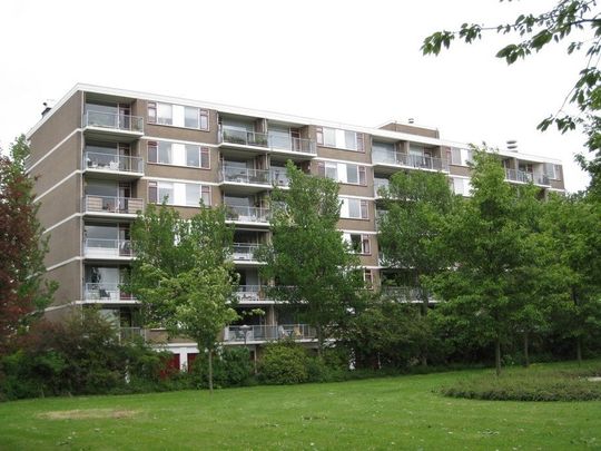 Te huur: Appartement Dirk de Raetlaan 117 in Wassenaar - Foto 1