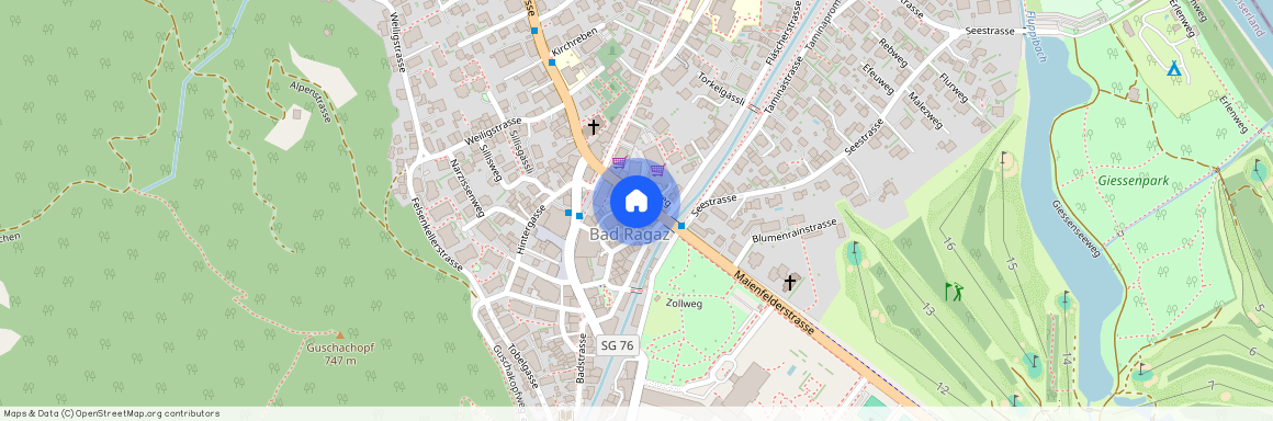 7310, Bad Ragaz, Maienfelderstrasse, 4