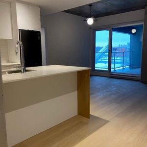 1 CH - 1 SDB - Montreal - $1,700 /mo - Photo 2