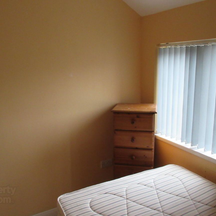 3 Great Apartments ~ 8 Bedrooms, 34 Magdala Street, Queens Quarter, Belfast - Photo 1