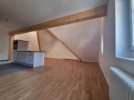 Erstvermietung nach Sanierung: Charmante Wohnung mit Galleriegeschoss - Foto 3