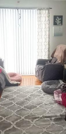 TERREBONNE 4 1/2 1ER MAI 1ER ÉTAGE AVEC PARKING - Photo 1