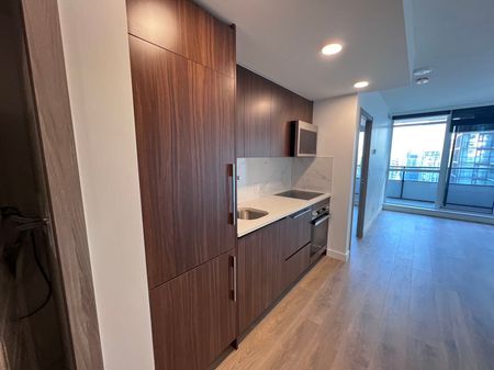 For Lease - 38 Widmer Street Unit# 3905, Toronto, Ontario - Photo 2