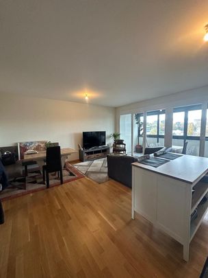 6 room apartment in Carouge - Photo 1