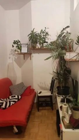 Altbauklassiker beim Kaiser-Josef-Platz – 2-Zimmer-Wohnung mit Balkon & WG-Potenzial - Foto 2