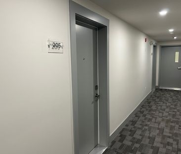 205-45 Haliburton Street - Photo 6
