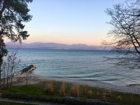 Living by the lake! - Photo 1