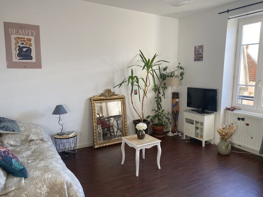 Location Appartement 1 pièce 27m² VICHY 03200 - Photo 1