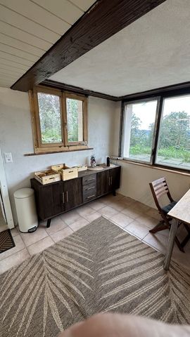 1 Zimmer, 40 m², EG - Foto 5