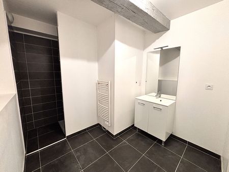 Location Appartement 1 pièce 42m² - Photo 4