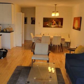 Renovated, Furnished 1 bedroom apartment in Fairview - Photo 1