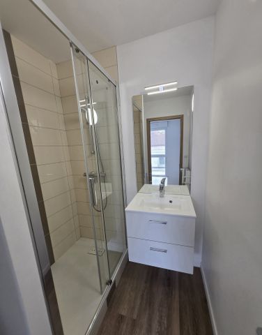Location Appartement 2 pièces 26m² NANCY 54000 - Photo 3