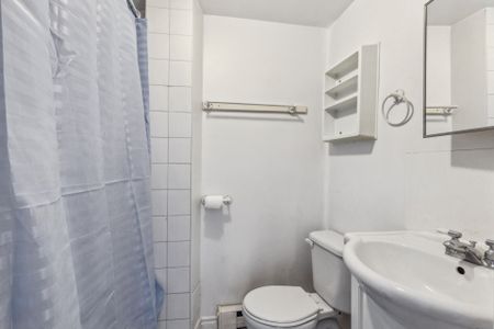Condo for rent, Montréal (Le Plateau-Mont-Royal) - Photo 5