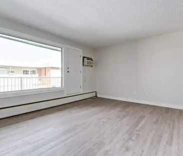 2 Bedroom - Photo 4