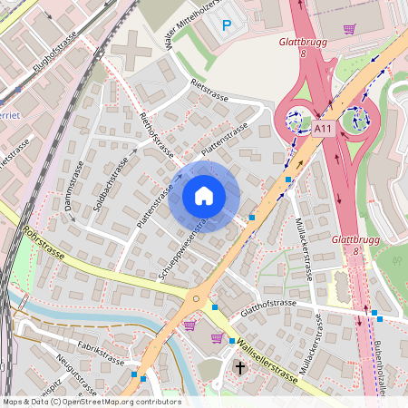 8152, Glattbrugg, Riethofstrasse, 5